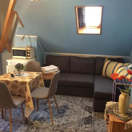 Ilona Kis Kastely Panzio Guest house