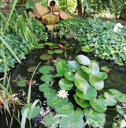 Casa de hóspedes Ilona Kis Kastély Panzió 3*