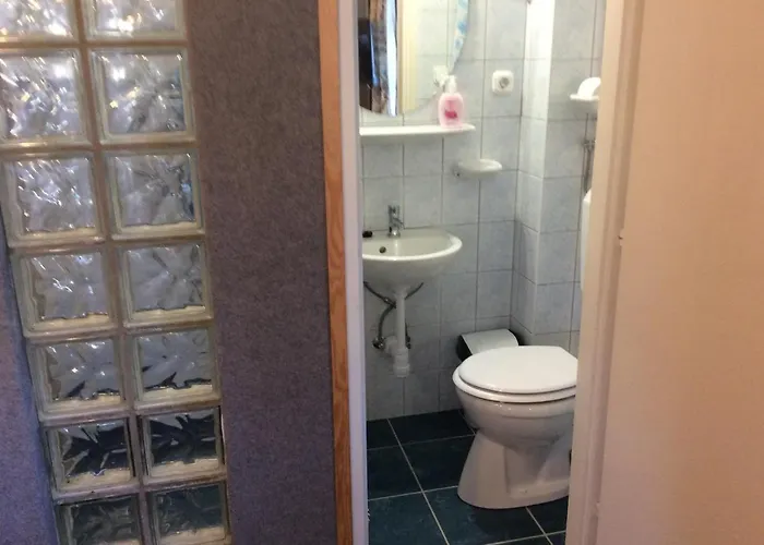 בית הארחה Ilona Kis Kastely Panzio קסזטלי