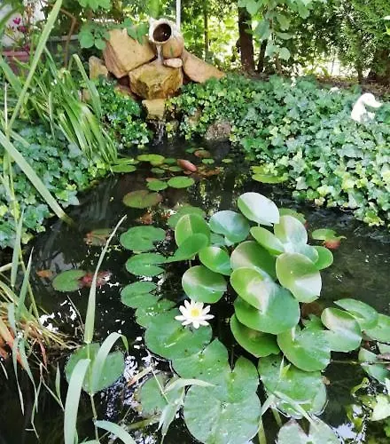 בית הארחה Ilona Kis Kastely Panzio 3*