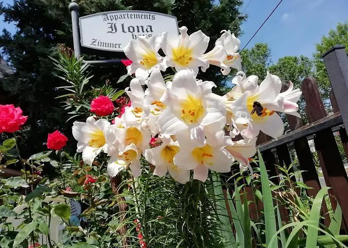 Guest house Ilona Kis Kastely Panzio